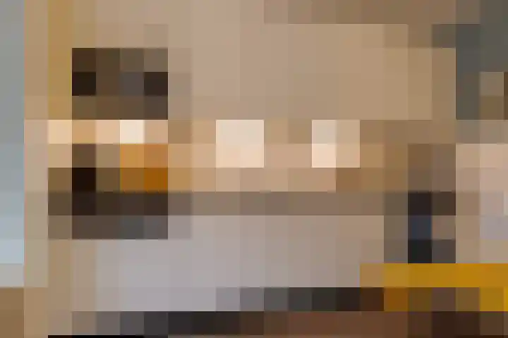 de Kade 16 Wapenveld thumbnail 23