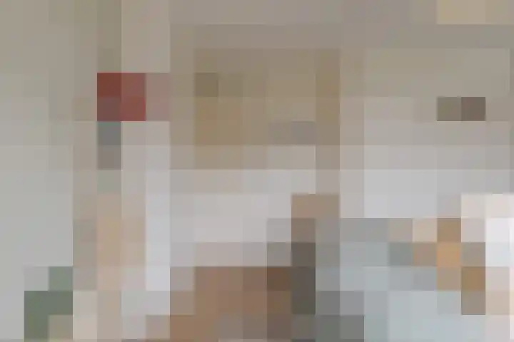 de Kade 16 Wapenveld thumbnail 28