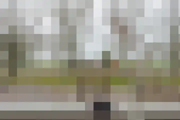de Kade 16 Wapenveld thumbnail 31