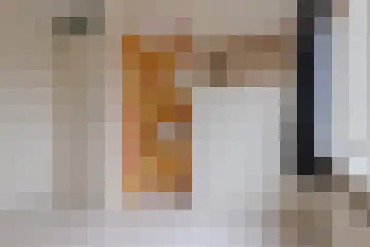 de Kade 16 Wapenveld thumbnail 32