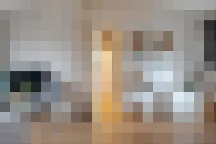 de Kade 16 Wapenveld thumbnail 37