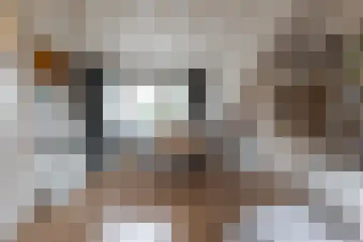 de Kade 16 Wapenveld thumbnail 39