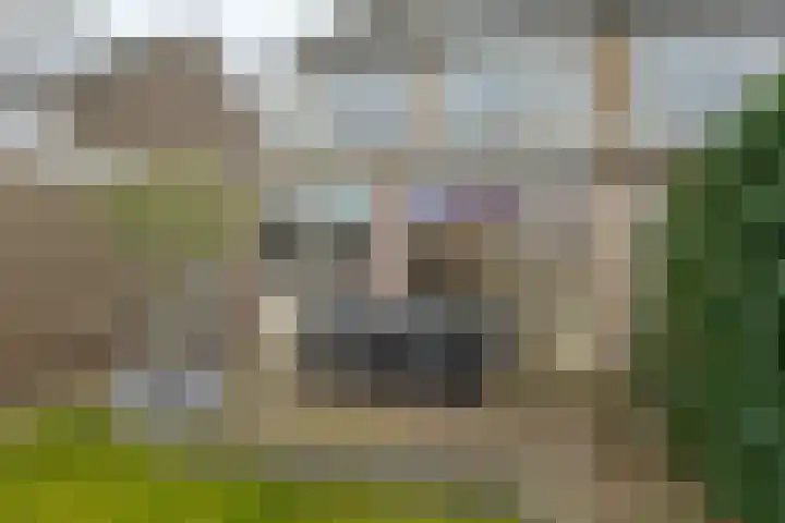 de Kade 16 Wapenveld thumbnail 41
