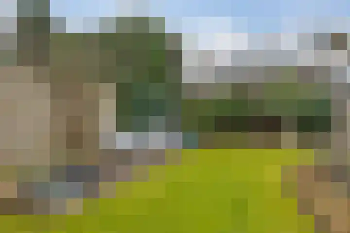 de Kade 16 Wapenveld thumbnail 44