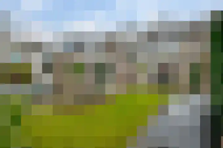 de Kade 16 Wapenveld thumbnail 45