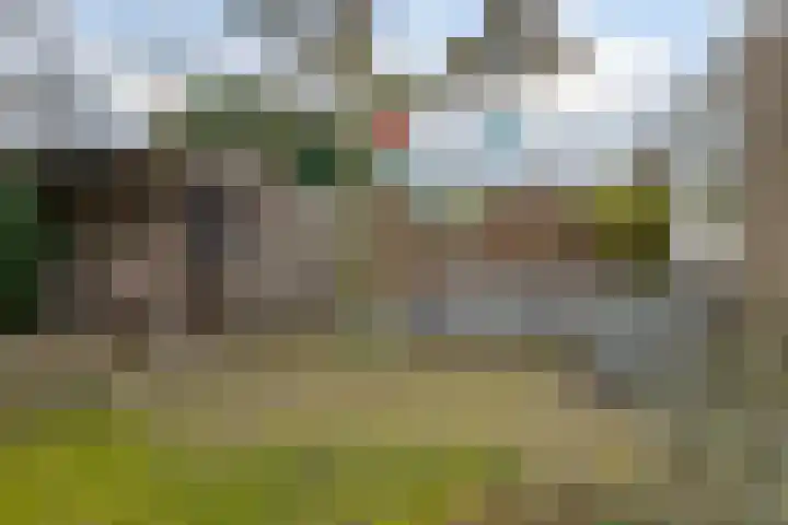 de Kade 16 Wapenveld thumbnail 46