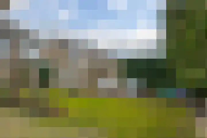 de Kade 16 Wapenveld thumbnail 47