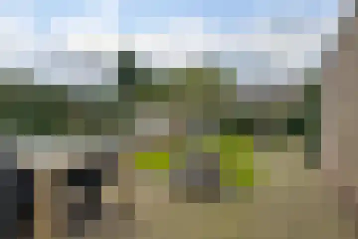 de Kade 16 Wapenveld thumbnail 48