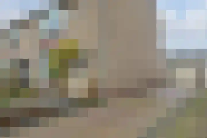de Kade 16 Wapenveld thumbnail 50