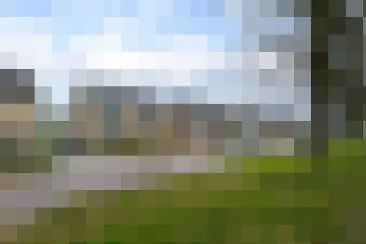 de Kade 16 Wapenveld thumbnail 52