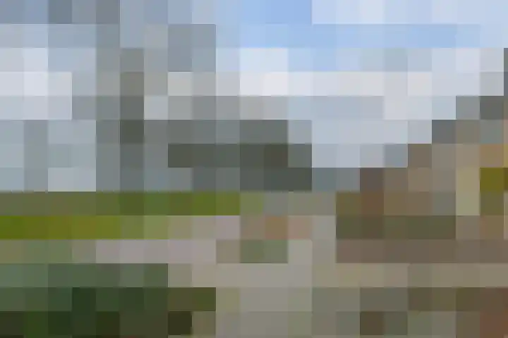 de Kade 16 Wapenveld thumbnail 6