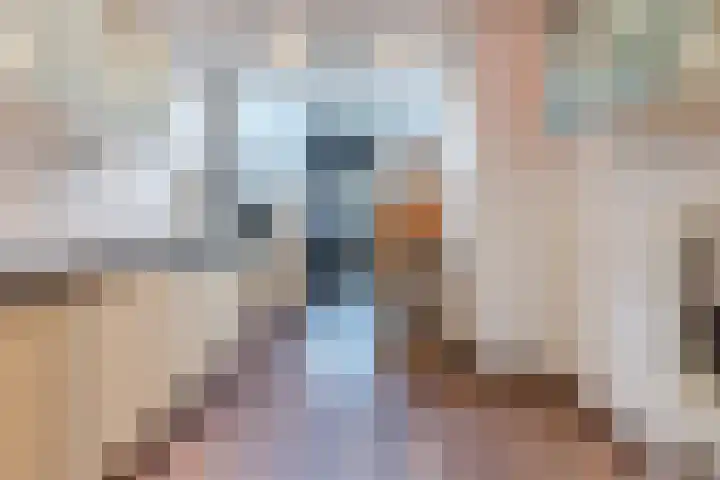 de Kade 32 Wapenveld thumbnail 10