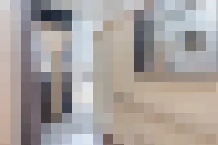 de Kade 32 Wapenveld thumbnail 13