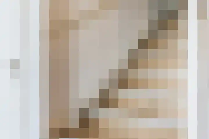 de Kade 32 Wapenveld thumbnail 17