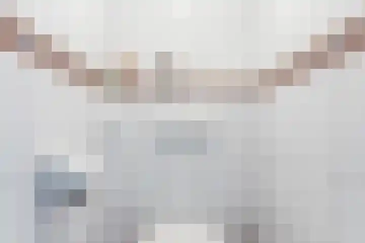 de Kade 32 Wapenveld thumbnail 18