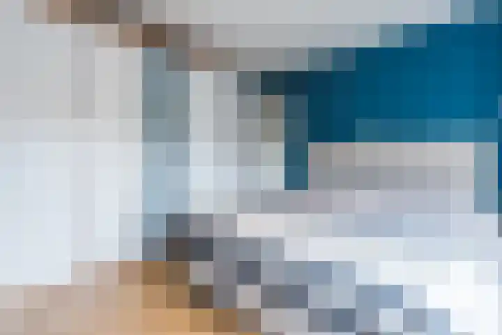 de Kade 32 Wapenveld thumbnail 21