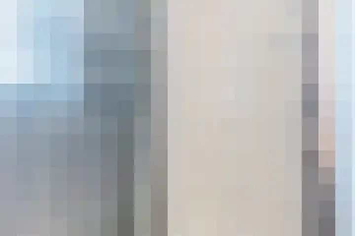 de Kade 32 Wapenveld thumbnail 30
