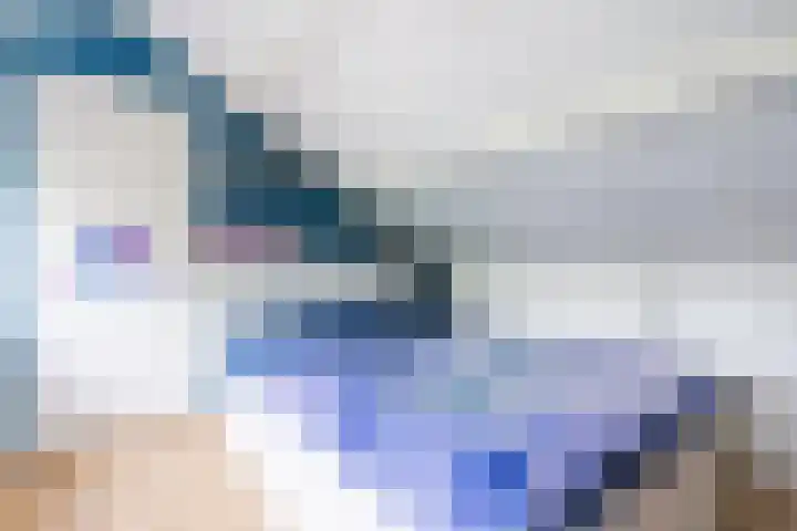 de Kade 32 Wapenveld thumbnail 37