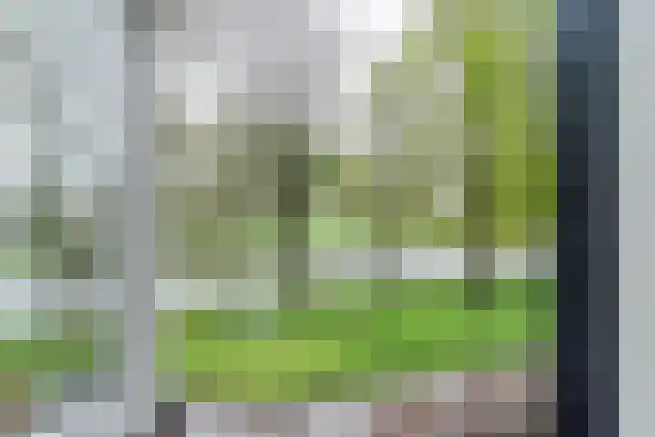 de Kade 32 Wapenveld thumbnail 38