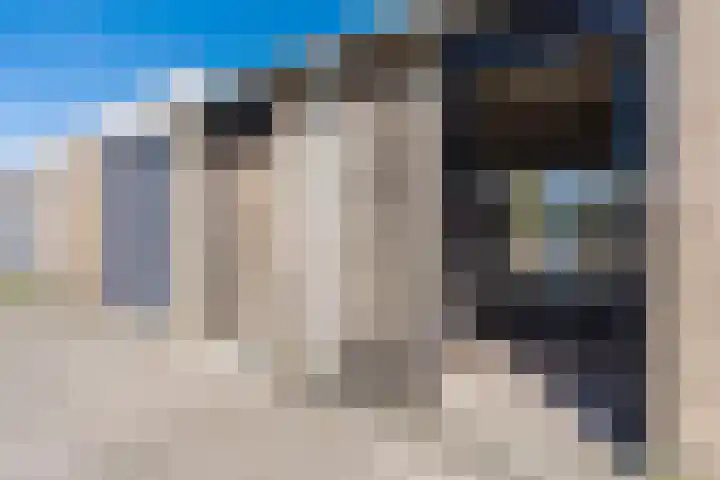 de Kade 32 Wapenveld thumbnail 42