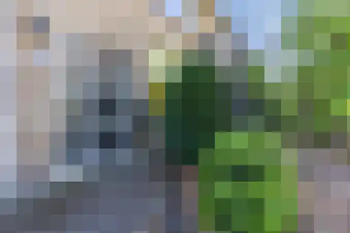 de Kade 32 Wapenveld thumbnail 45