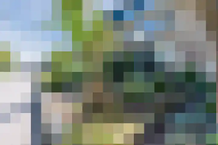 de Kade 32 Wapenveld thumbnail 46