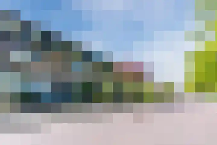 de Kade 32 Wapenveld thumbnail 49