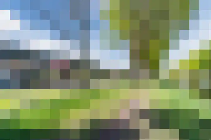 de Kade 32 Wapenveld thumbnail 50