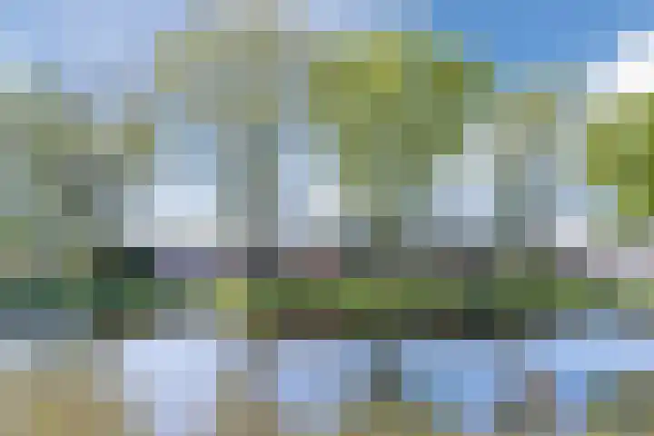 de Kade 32 Wapenveld thumbnail 52