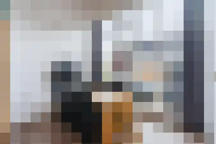 de Kade 32 Wapenveld thumbnail 7
