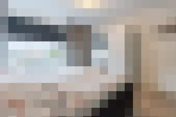de Kade 33 Wapenveld thumbnail 16