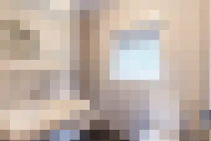 de Kade 33 Wapenveld thumbnail 22