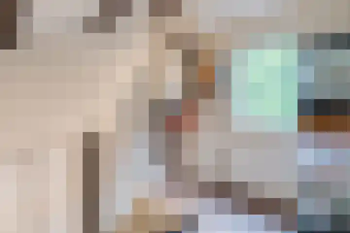 de Kade 33 Wapenveld thumbnail 25