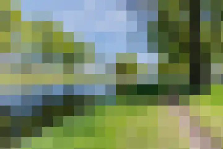 de Kade 33 Wapenveld thumbnail 36