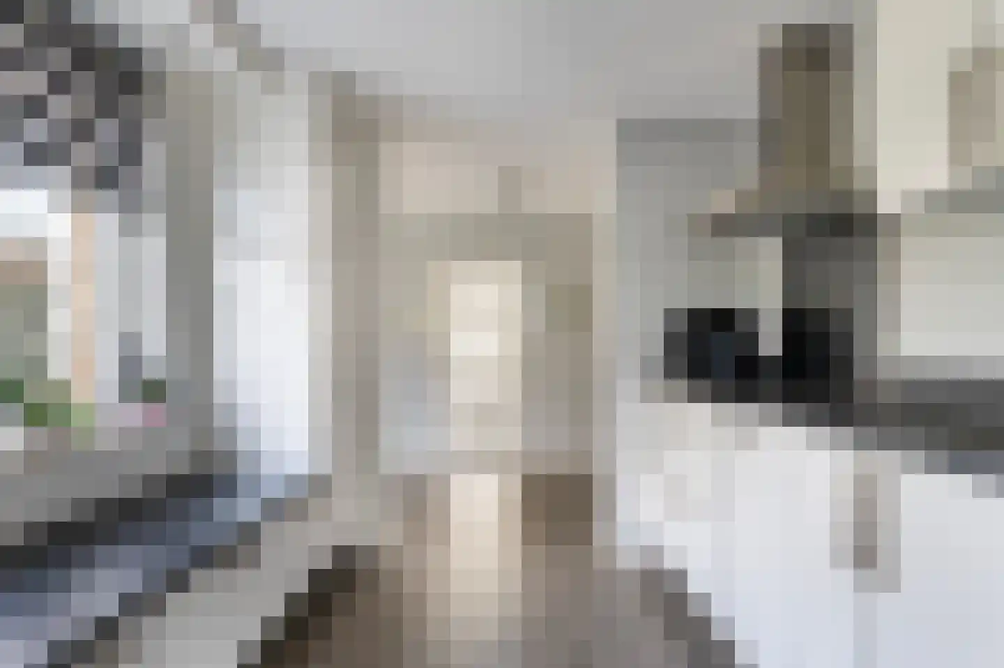 de Kade 34 Wapenveld thumbnail 11