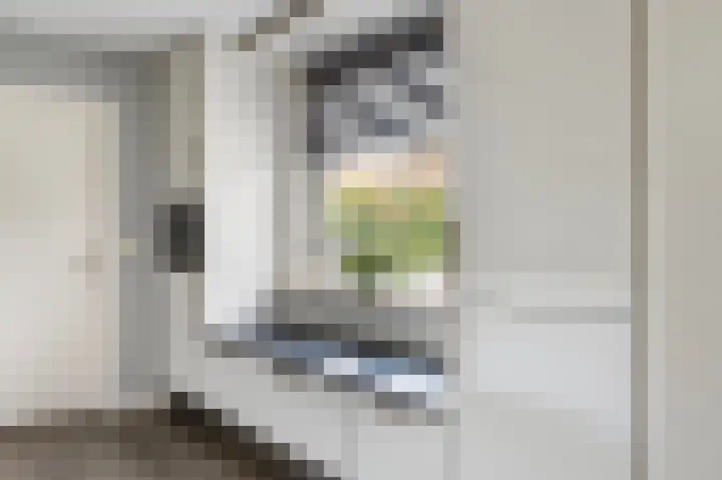 de Kade 34 Wapenveld thumbnail 14
