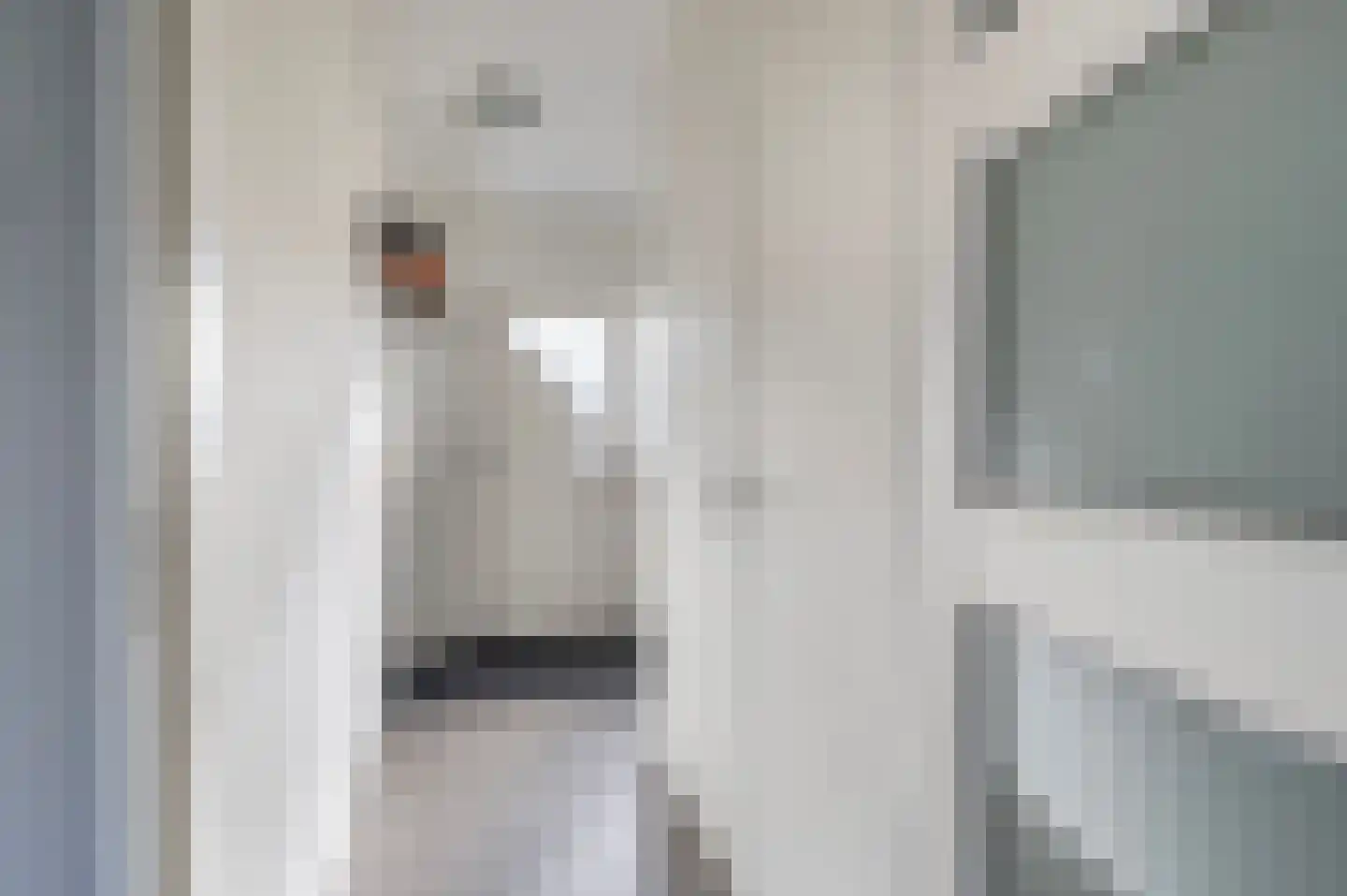 de Kade 34 Wapenveld thumbnail 17