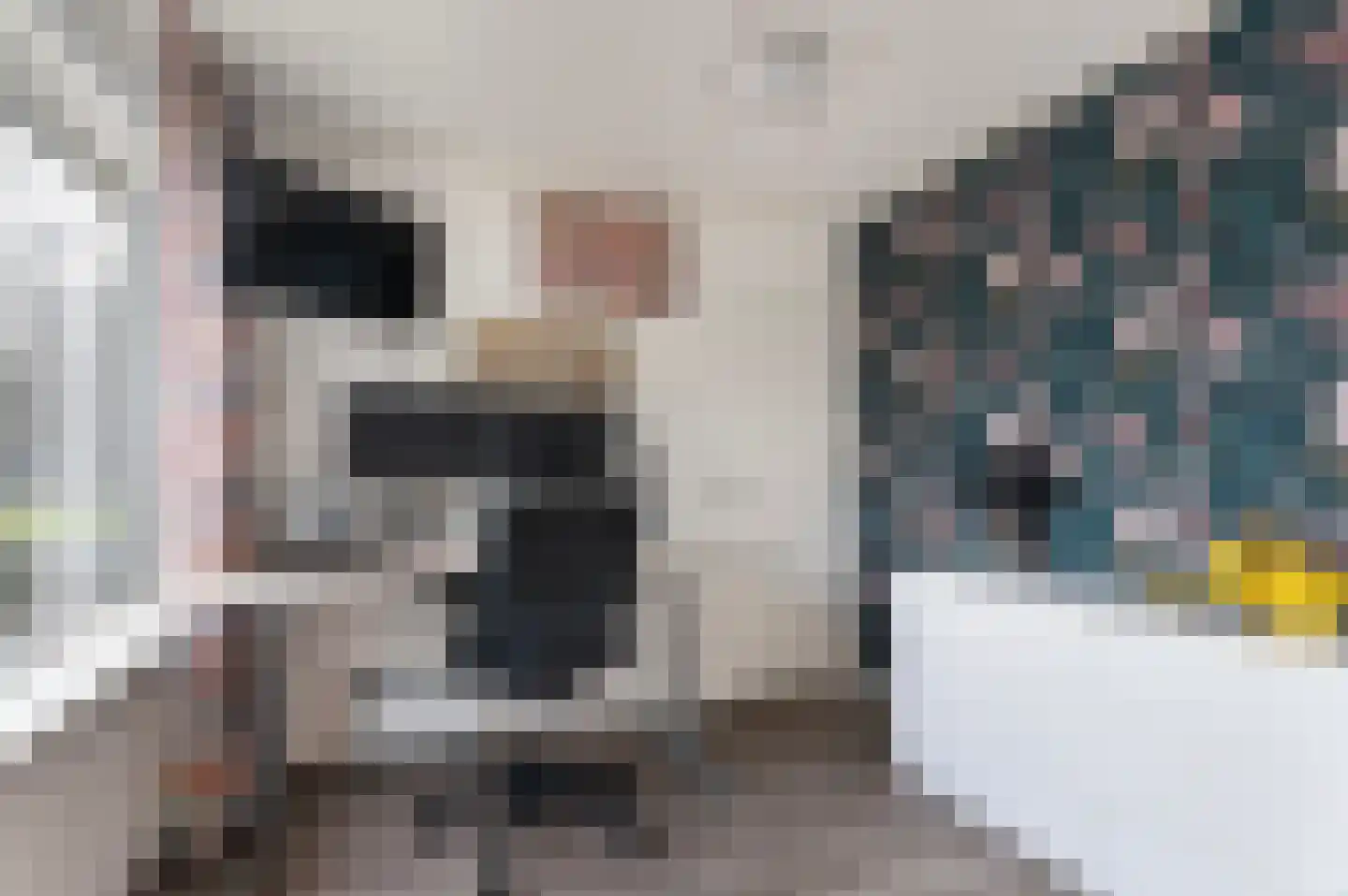 de Kade 34 Wapenveld thumbnail 23