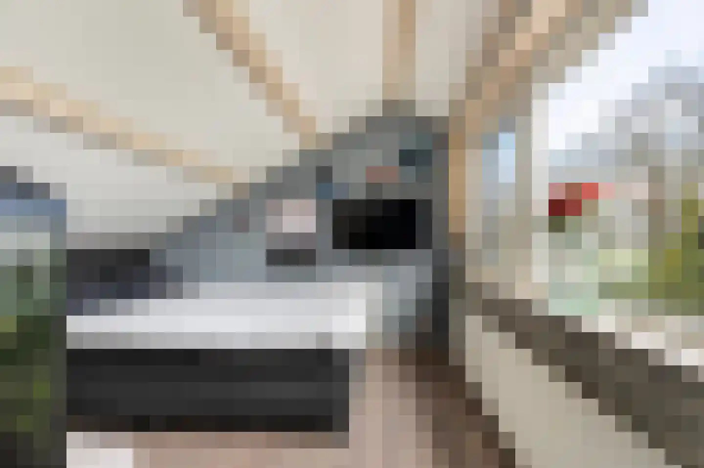 de Kade 34 Wapenveld thumbnail 26