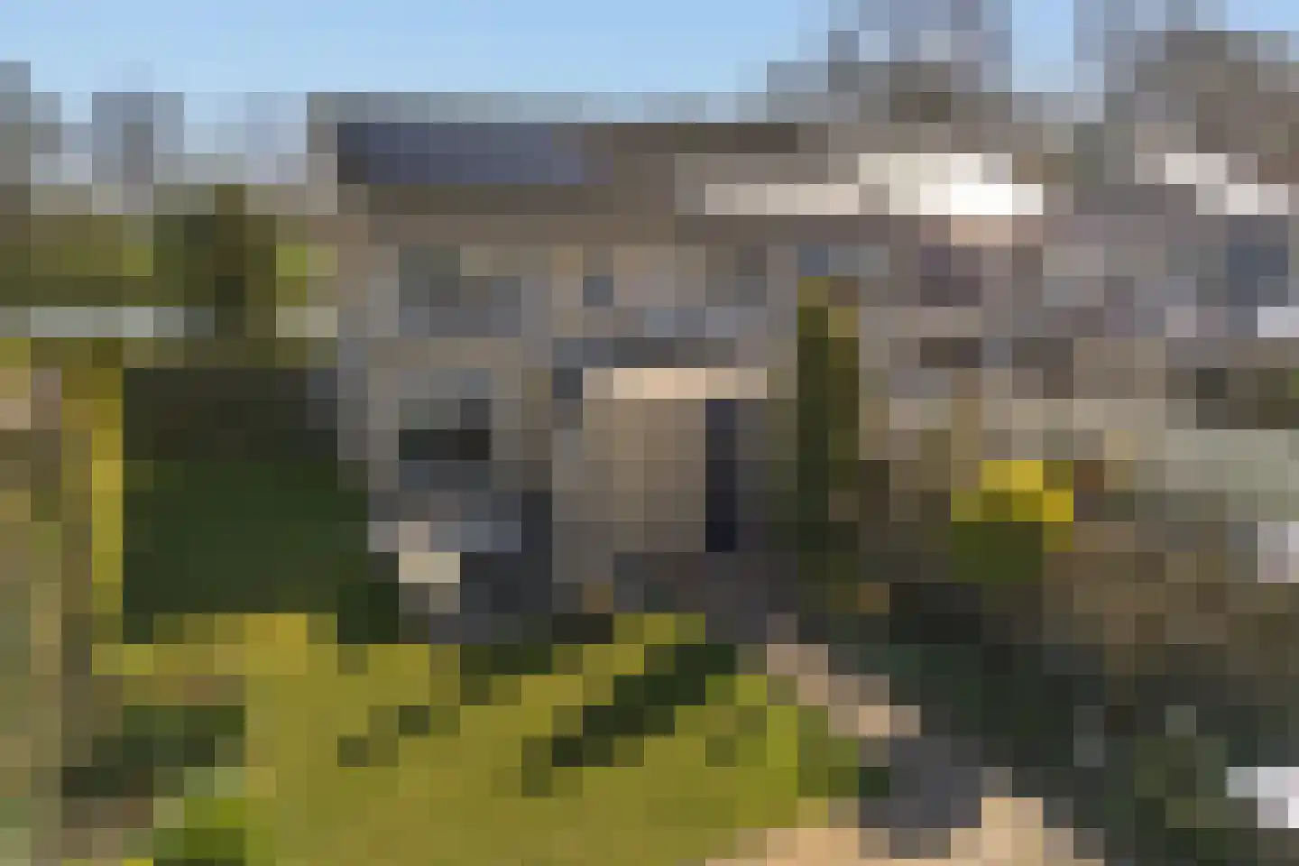 de Kade 34 Wapenveld thumbnail 31