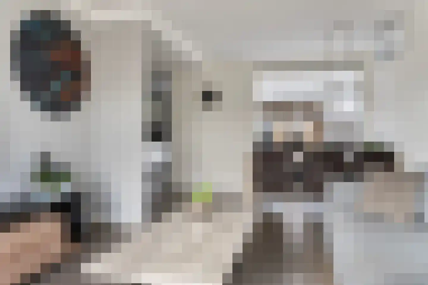 de Kade 34 Wapenveld thumbnail 7