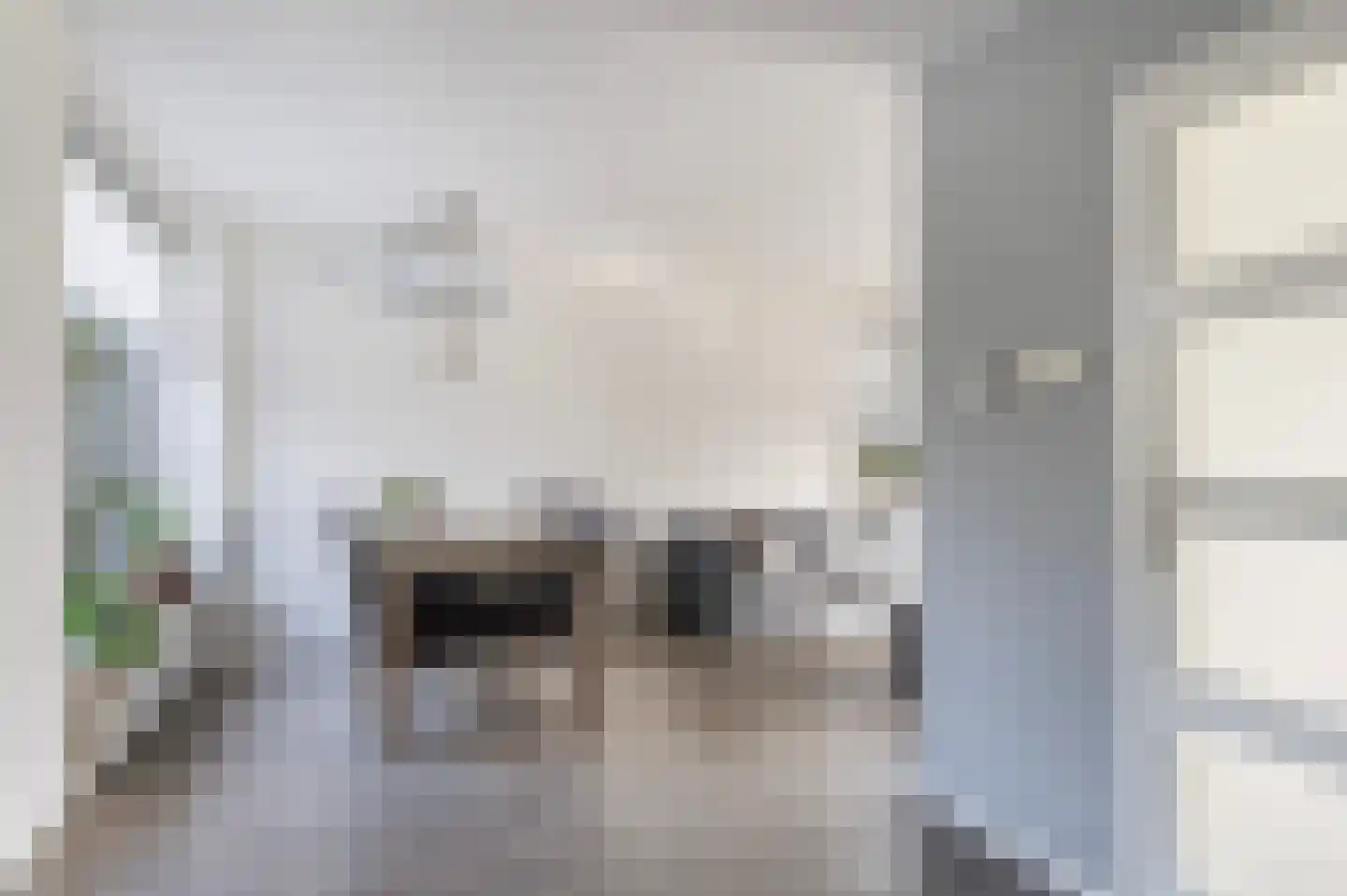 de Kade 34 Wapenveld thumbnail 8