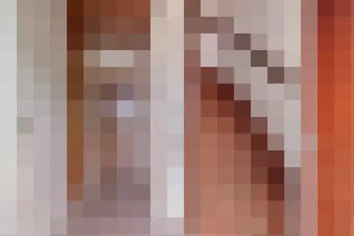 de Kade 37 Wapenveld thumbnail 10