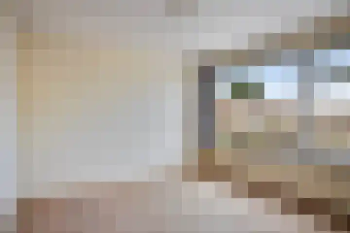 de Kade 37 Wapenveld thumbnail 12