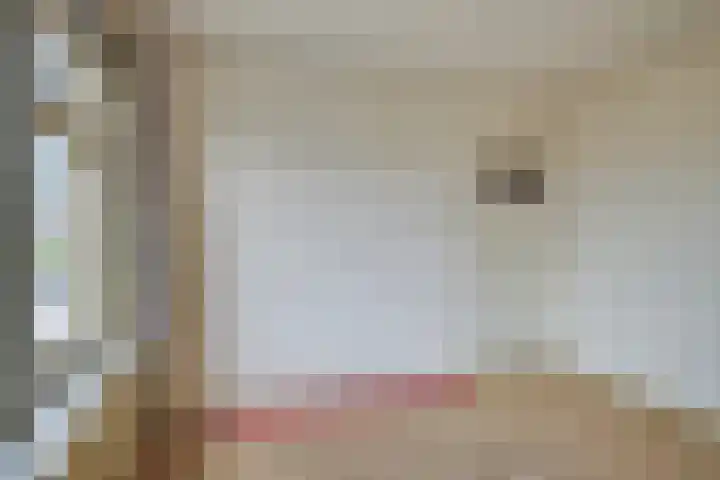 de Kade 37 Wapenveld thumbnail 13