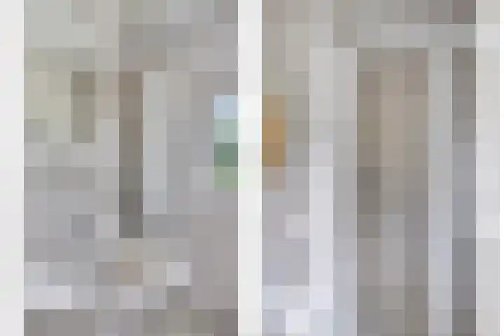 de Kade 37 Wapenveld thumbnail 15