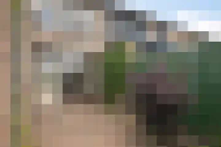 de Kade 37 Wapenveld thumbnail 20