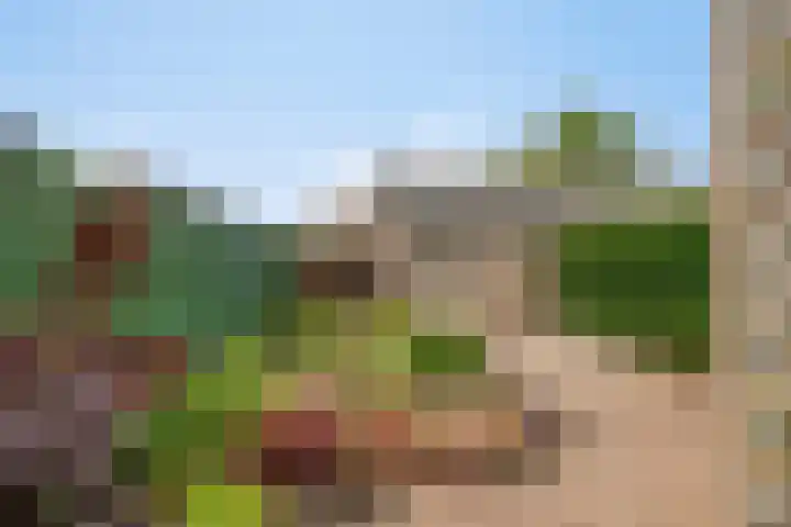 de Kade 37 Wapenveld thumbnail 21