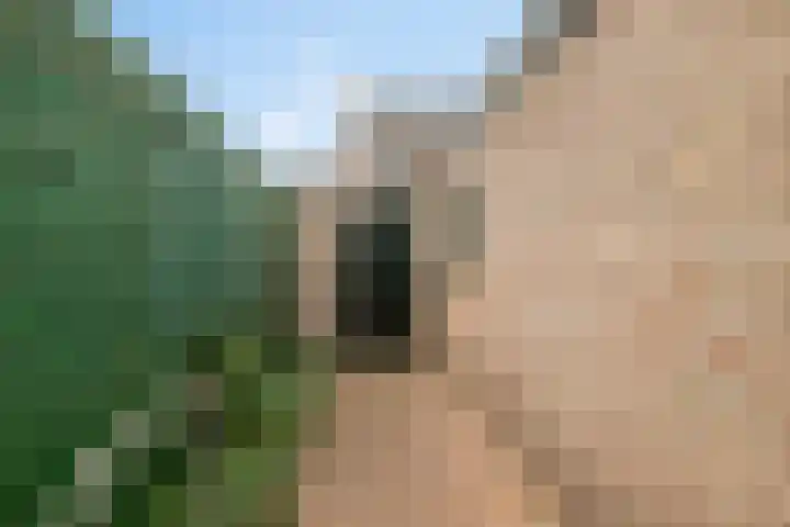 de Kade 37 Wapenveld thumbnail 23