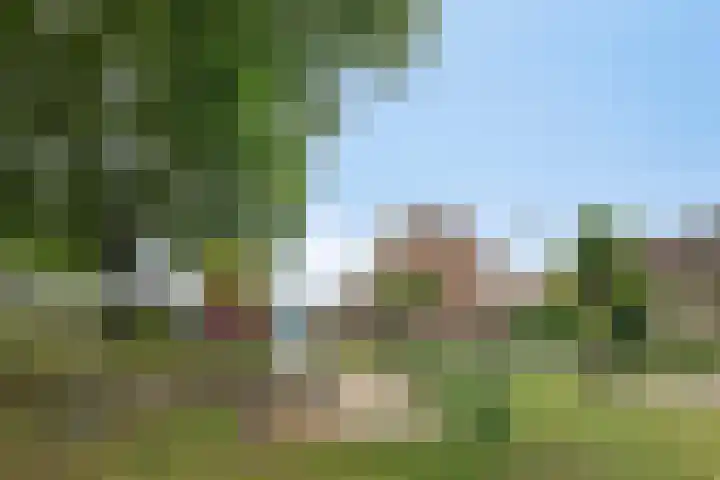de Kade 37 Wapenveld thumbnail 27